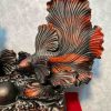Ca Xiem Go Trac Cao 47 Ngang 54 Sau 25 cm 2