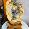 Tác Phẩm Gỗ Hóa Thạch