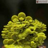 Tác Phẩm Hỏa Kỳ Lân Ngọc Serpentine Cao 42 Ngang 40(cm)