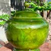 Bình Ủ Trà Gỗ Dổi Xanh