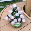 cay dao truong tho 18 qua da thach anh cao 25 ngang 22 sau 13cm 1