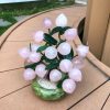 cay dao truong tho 18 qua da thach anh cao 25 ngang 22 sau 13cm 2