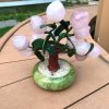 cay dao truong tho 18 qua da thach anh cao 25 ngang 22 sau 13cm 3