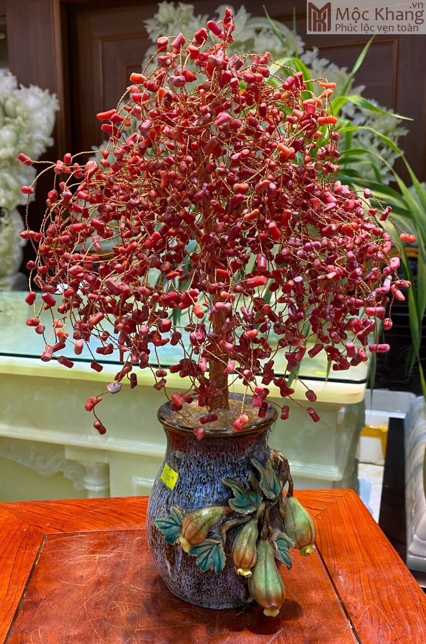 cay-tai-loc-da-san-ho-do-cao-39-ngang-23cm-2.jpg Cây Tài Lộc Đá San Hô Đỏ