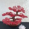 cay tai loc may man san ho do cao 39 ngang 42 5 sau 8 5 cm 2 scaled 1