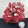 Cây Tài Lộc May Mắn San Hô Đỏ