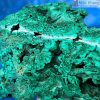 tac pham da khong tuoc malachite cao 26 ngang 21 cm can nang 2 25 kg 4 4 11zon