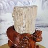 Tác Phẩm Gỗ Hóa Ngọc