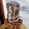 Tác Phẩm Gỗ Hóa Ngọc