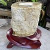 Trụ Đá Gỗ Hóa Thạch