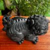 tuong nghe go mun sung cao 17 ngang 24 sau 15 cm 4