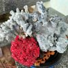 Tinh The Cay San Ho Coral Cao 26 Ngang 37 cm 2