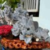 Tinh The Cay San Ho Coral Cao 26 Ngang 37 cm 3