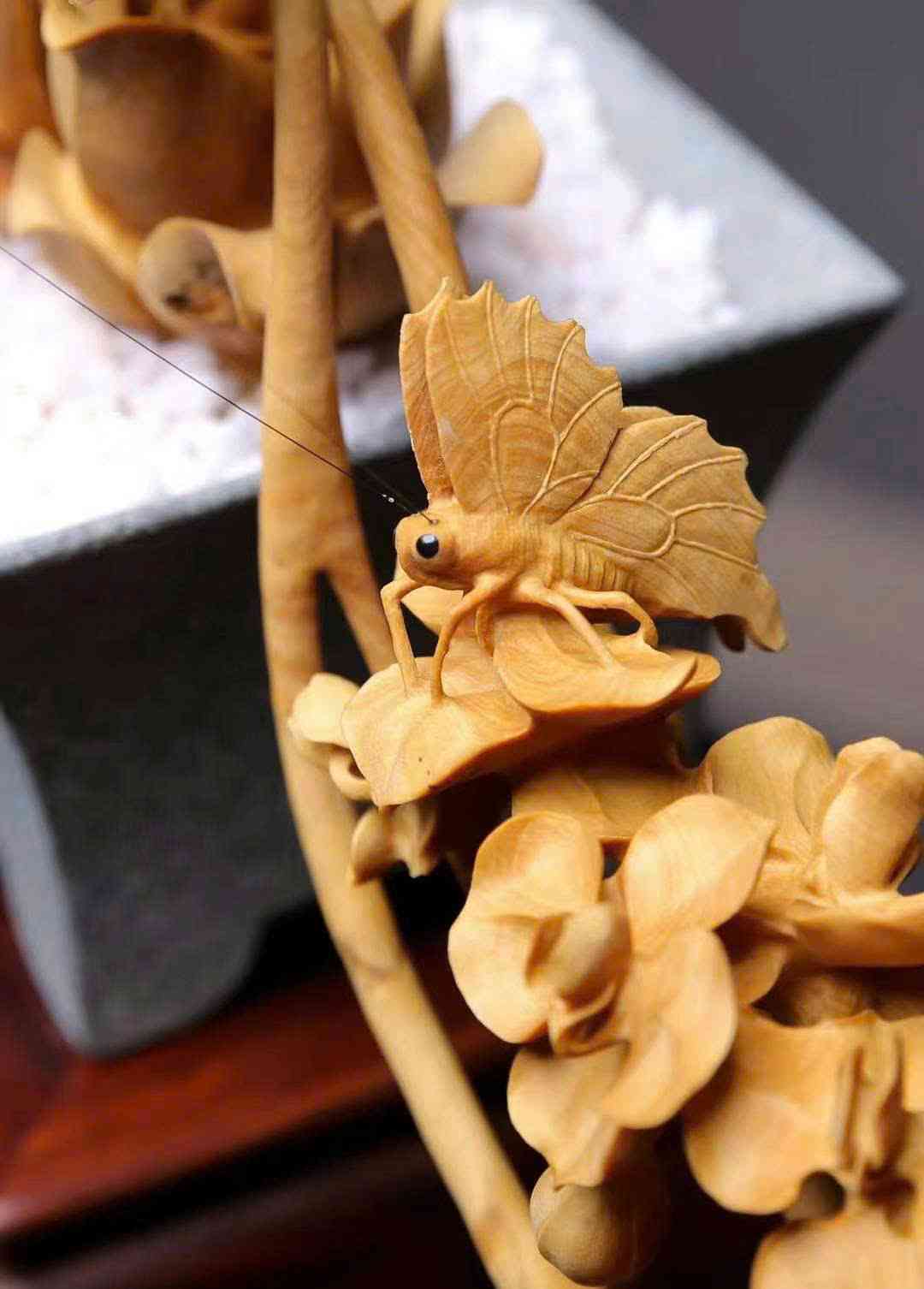 chau-lan-ho-diep-go-hoang-duong-tieu-diep-cao-42-5-ngang-33-5-sau-13cm (4)_10_11zon