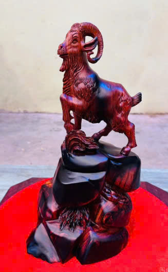 tuong-nhat-duong-go-trac-cao-38-ngang-22-sau-18cm (4) Tượng Nhất Dương Gỗ Trắc