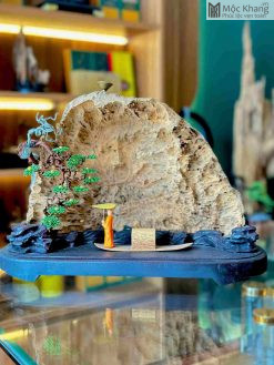 Tiểu Cảnh Kiến Rừng Tự Nhiên