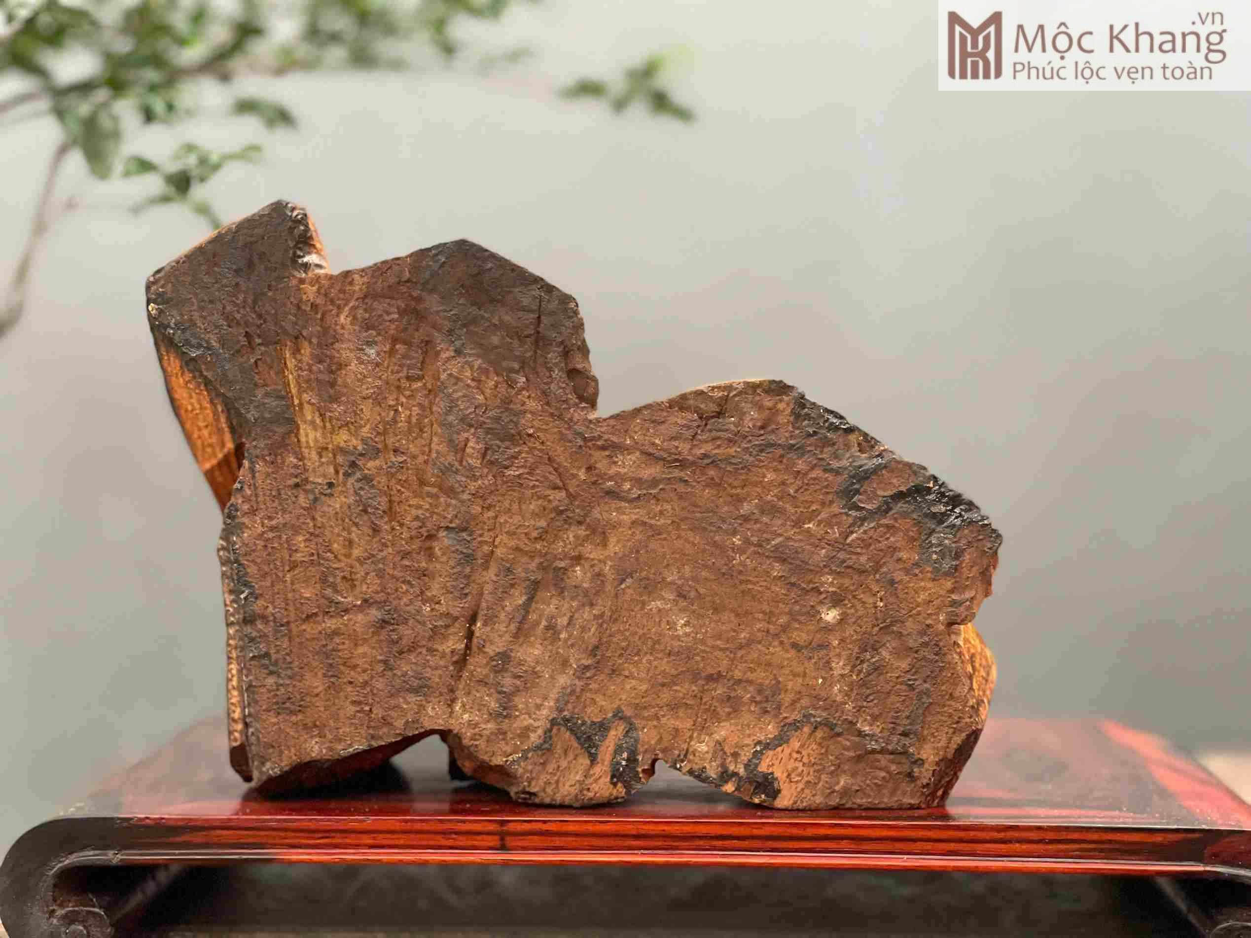 tuong-bao-phong-thuy-go-trac-cao-18-ngang-22-sau-14cm (3)_3_11zon