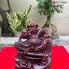 Tổng Cóc Gỗ Tử Đàn