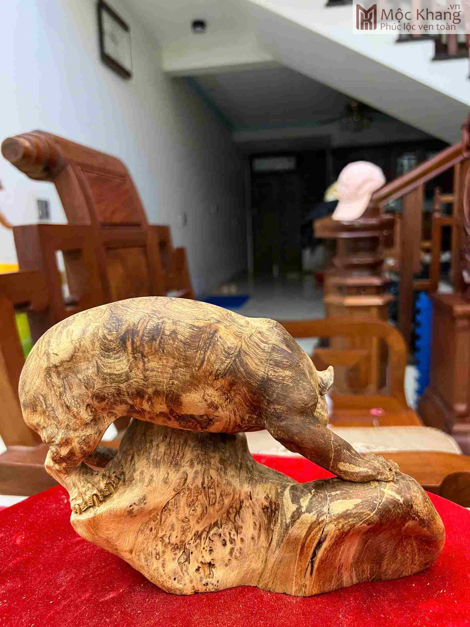 Tượng Báo Săn Mồi Gỗ Nu Ngọc Am Cao 16 Ngang 22 Sâu 10 (cm) (6)_6 Tuong Bao San Moi Go Nu Ngoc Am Cao 16 Ngang 22 Sau 10 cm 6 6
