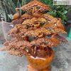 binh mai phu quy go huong cao 72 ngang 65 sau 28 cm 2 2 11zon