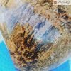 tac pham go hoa thach cao 20 duong kinh 17cm 1 1 11zon