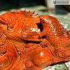 tuong ca go huong cao 29 ngang 76 sau 20cm 8 7 11zon