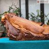 Tượng Cá Kim Long Gỗ Ngọc Am