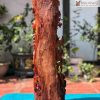 tuong dat ma khat thuc go huong cao 66 ngang 22 sau 21 cm 2 2 2 11zon