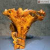 tuong phat quan the am bo tat go sun huong cao 54 ngang 48 sau 25 cm 5 5 11zon