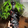 Tượng Rắn Phong Thủy Gỗ Trắc