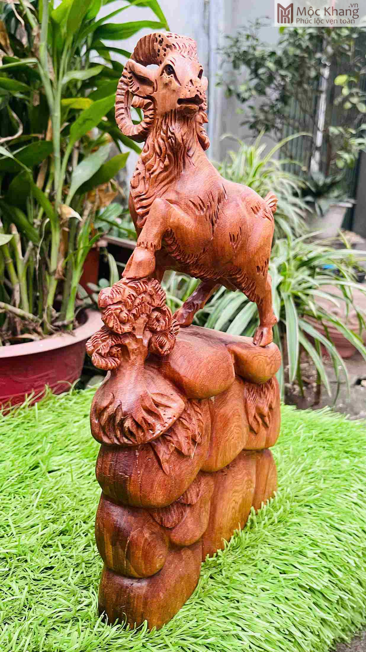 Tượng Nhất Dương Gỗ Ngọc Am Cao 39 Ngang 23 Sâu 10 (cm) (5)_5 Tuong Nhat Duong Go Ngoc Am Cao 39 Ngang 23 Sau 10 cm 5 5