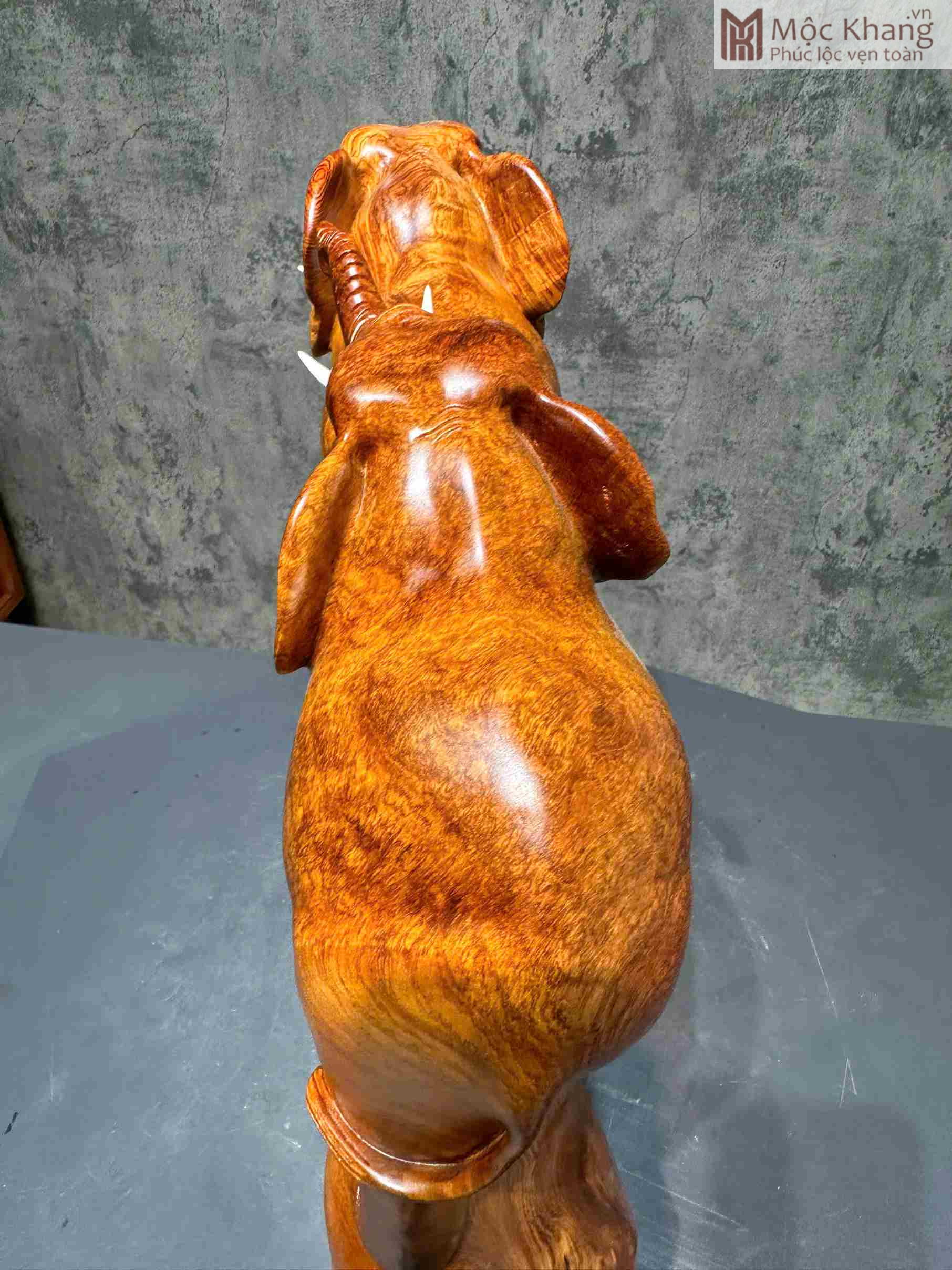 Tượng Voi Phong Thủy Gỗ Hương Cao 41 Ngang 43 Sâu 12(cm) (3)_3 Tuong Voi Phong Thuy Go Huong Cao 41 Ngang 43 Sau 12cm 3 3