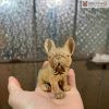 Tượng Chó Phong Thủy Gỗ Bách Xanh