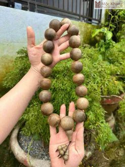 Chuỗi Trầm Hương