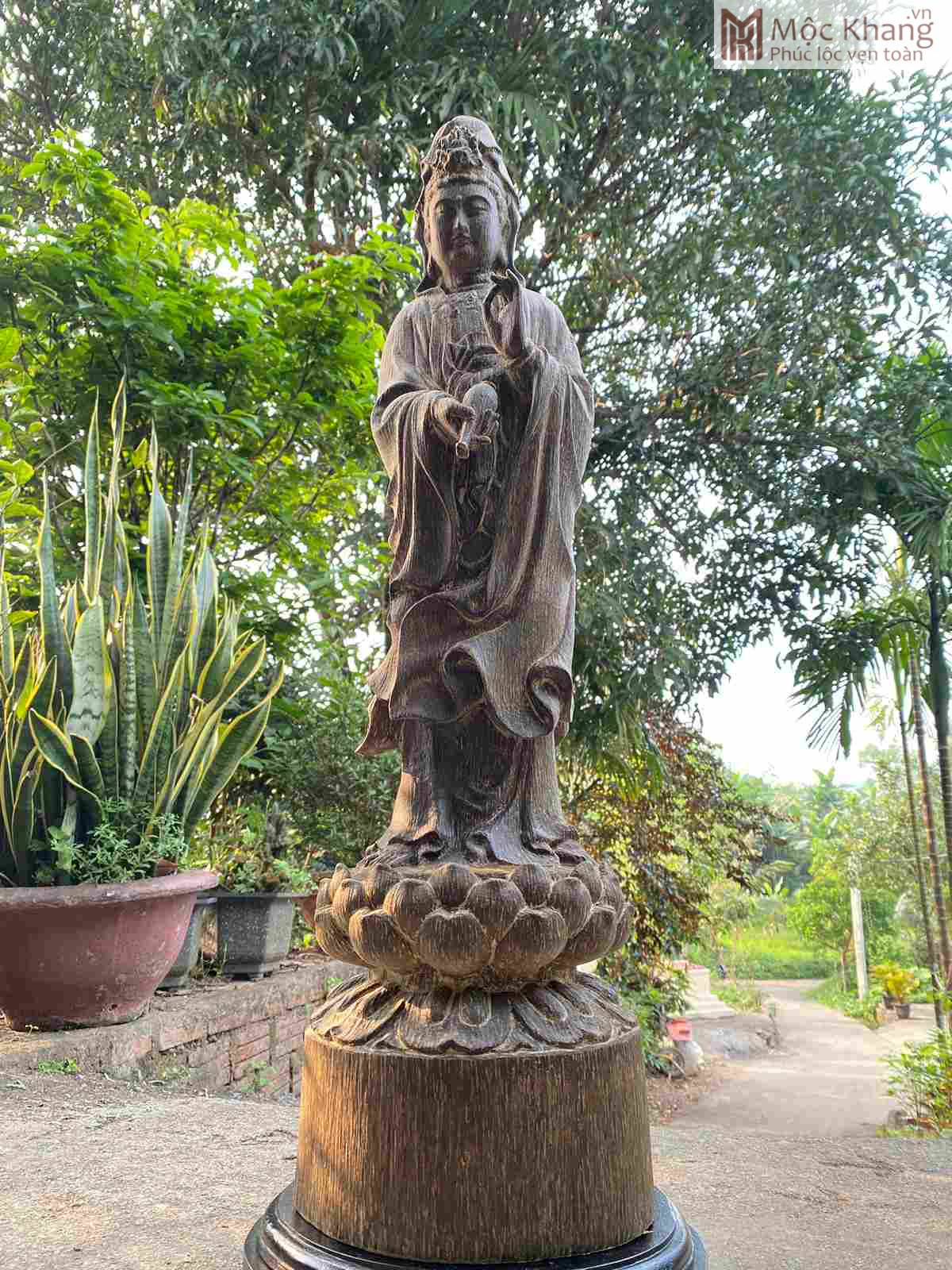 Tượng Quan Âm Trầm Hương Cao 79 Ngang 22 (cm) (3)_3 Tuong Quan Am Tram Huong Cao 79 Ngang 22 cm 3 3