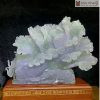 Bắp Cải Tài Lộc Ngọc Fluorite