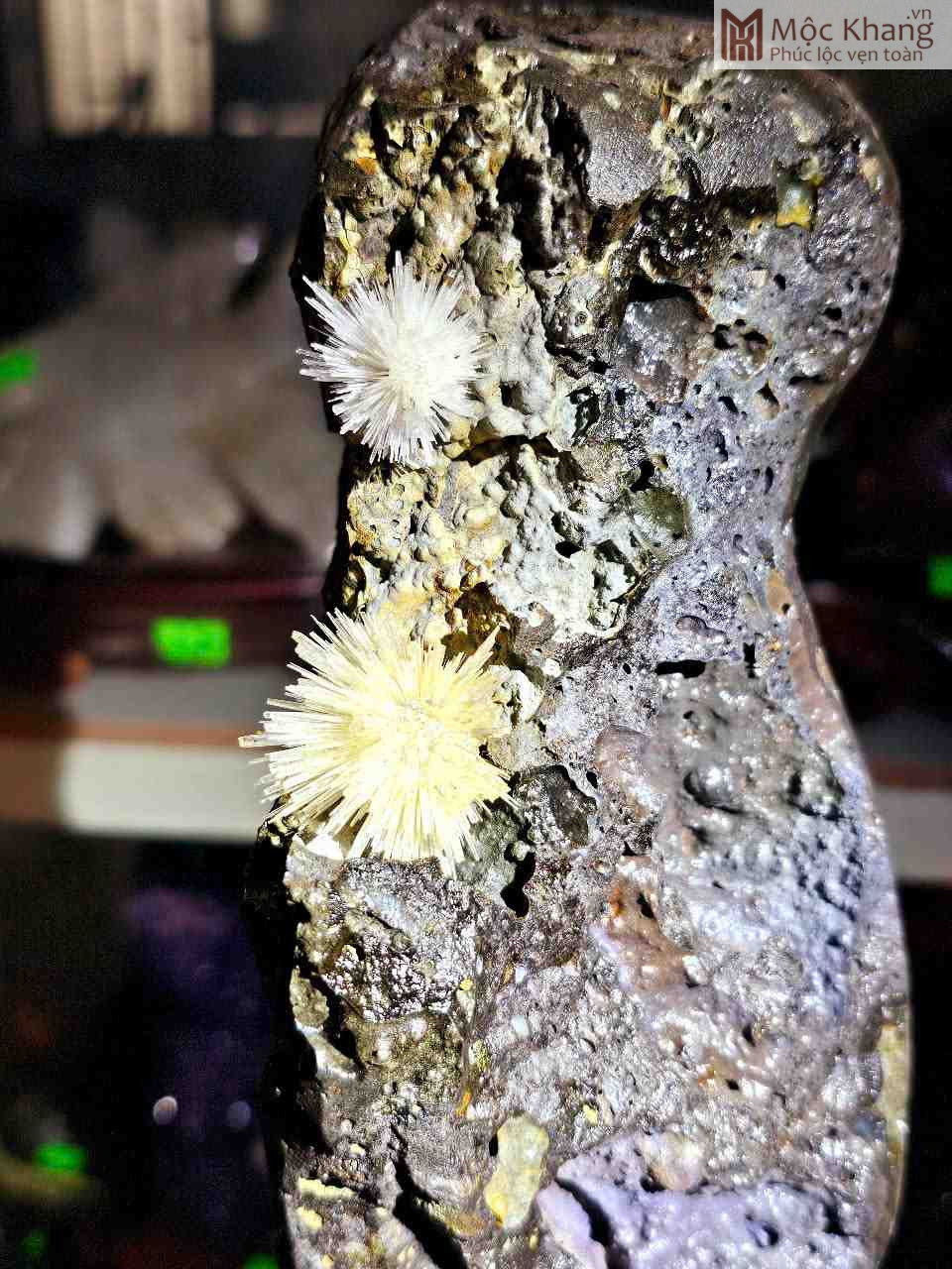 Bông Hoa Ưu Đàm Ngọc (Aragonit) Cao 34 Ngang 16 (cm) (1)_1 Bong Hoa Uu Dam Ngoc Aragonit Cao 34 Ngang 16 cm 1 1