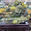 Tác Phẩm Hưu Tài Lộc Ngọc Serpentine