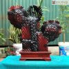 Tuong Ca Xiem Go Trac Cao 61 Ngang 60 Sau 15 cm 2 2
