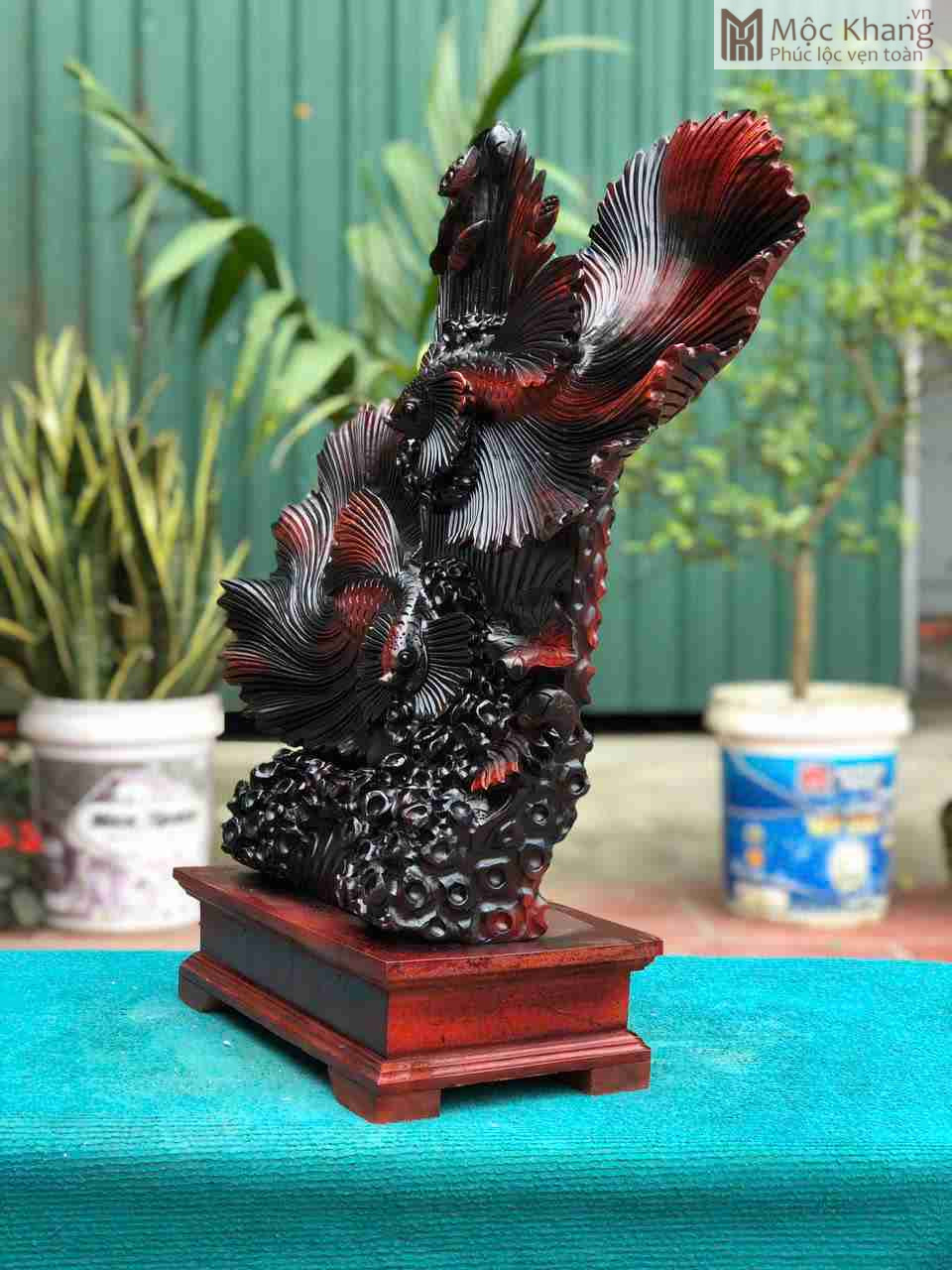 Tượng Cá Xiêm Gỗ Trắc Cao 61 Ngang 60 Sâu 15 (cm) (3)_3 Tuong Ca Xiem Go Trac Cao 61 Ngang 60 Sau 15 cm 3 3