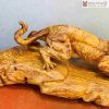 tuong bao go cam cao 21 ngang 75 sau 20cm 3 3 11zon