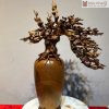 Bình Hoa Mai Gỗ Bách Xanh