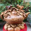 Bình Nho Sóc Gỗ Nu Ngọc Am
