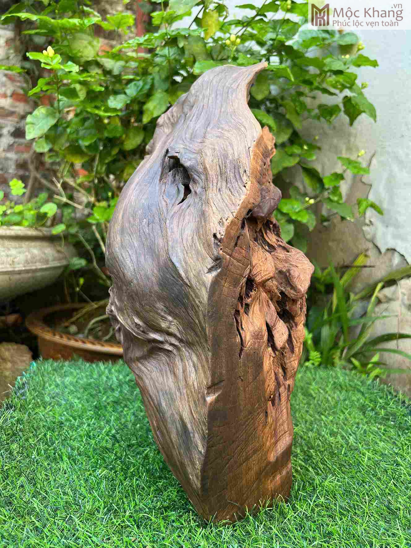 Tượng Đạt Ma Sư Tổ Gỗ Bách Xanh Cao 42 Ngang 39 Sâu 18 (cm) (4)_3 Tuong Dat Ma Su To Go Bach Xanh Cao 42 Ngang 39 Sau 18 cm 4 3