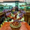 cay tai loc da thach anh cao 26 ngang 26 sau 13 cm 1