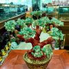 cay tai loc da thach anh cao 26 ngang 26 sau 13 cm 2