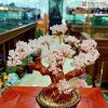 cay tai loc da thach anh cao 26 ngang 26 sau 13 cm 4