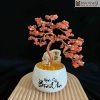 cay tai loc thach anh cao 25 28 cm 12 12 11zon