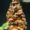 tuong ca chep hoa rong go hoang dan cao 50 ngang 27 sau 10cm 4 4 11zon