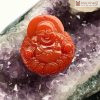 mat phat di lac ma nao do cao 5 ngang 4 3 sau 1cm 2 2 11zon